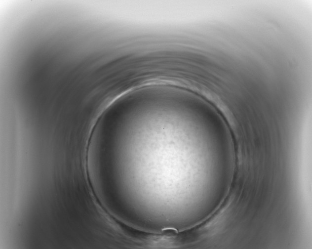 X0000089461529200706221256