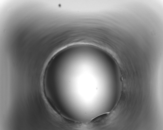 X0000089461530200706221256