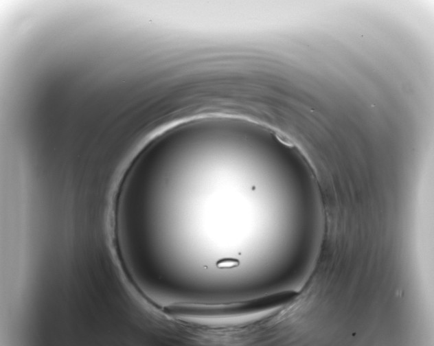 X0000089461531200706221256