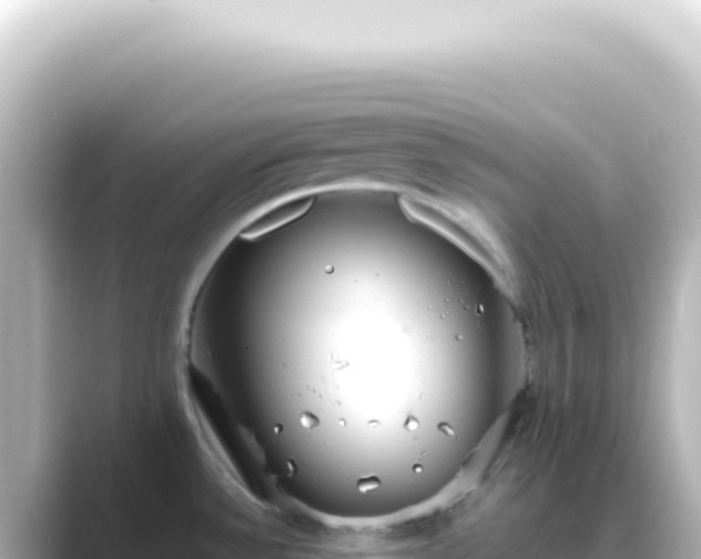 X0000089461532200706221256