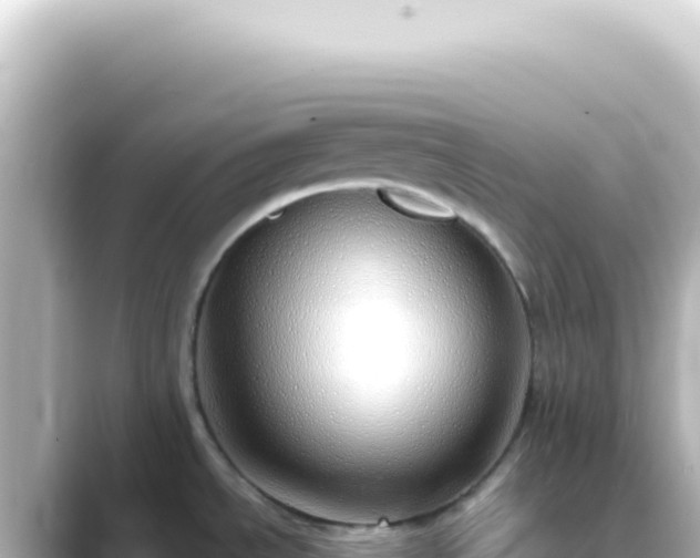 X0000089461534200706221256