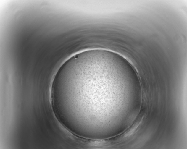 X0000089461535200706221256