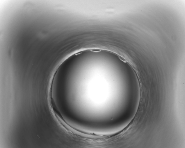 X0000089461536200706221256