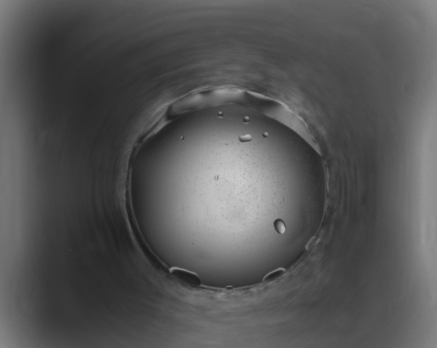 X0000089460003200706291509
