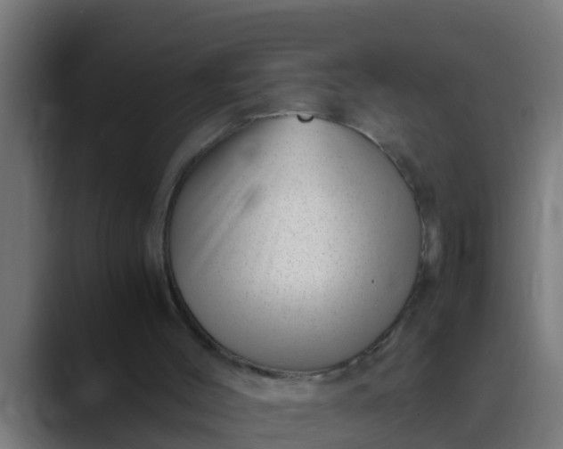 X0000089460004200706291509