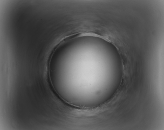 X0000089460005200706291509