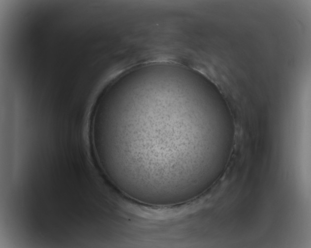 X0000089460006200706291509