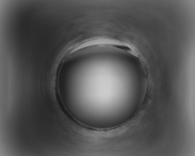 X0000089460007200706291509