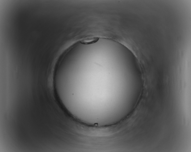 X0000089460008200706291509