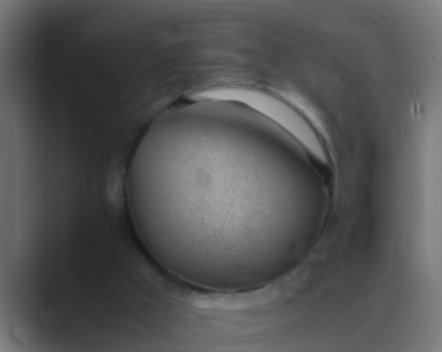 X0000089460009200706291509