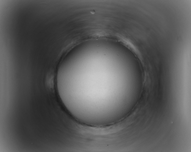 X0000089460010200706291509
