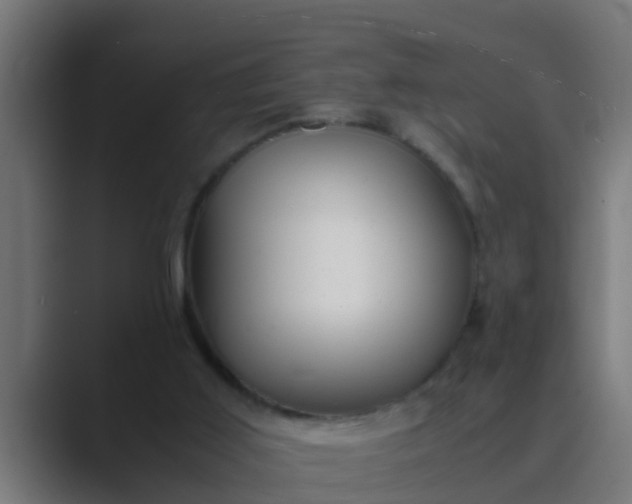 X0000089460011200706291509