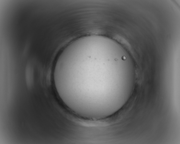 X0000089460012200706291509
