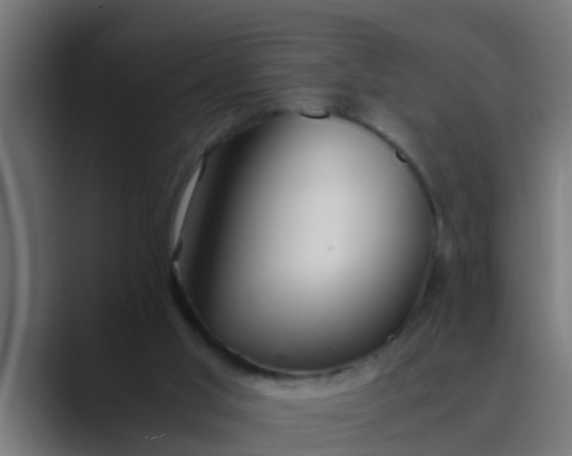 X0000089460013200706291509