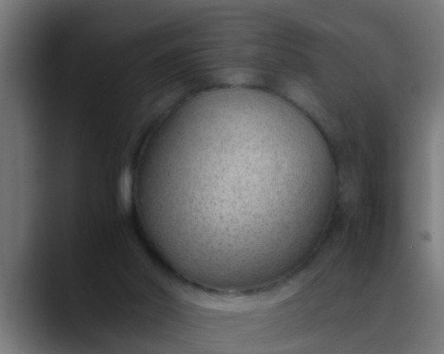 X0000089460014200706291509