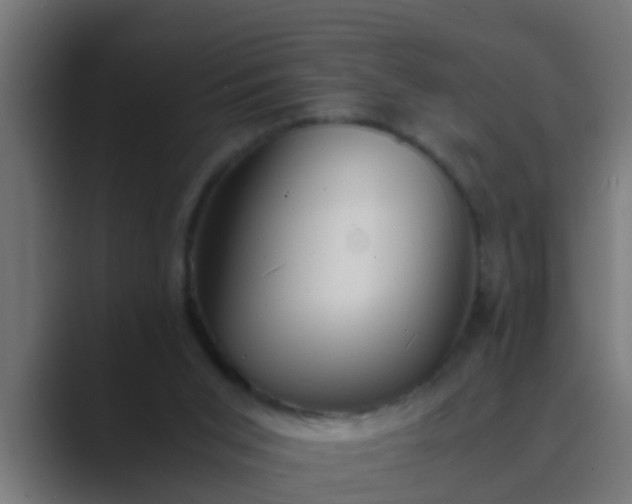 X0000089460015200706291509