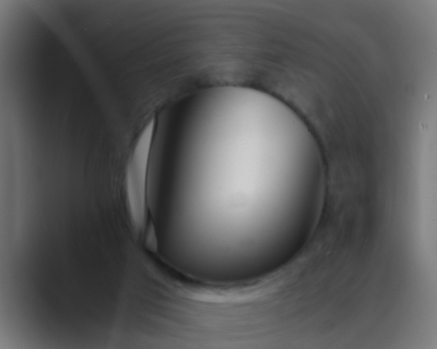 X0000089460017200706291509