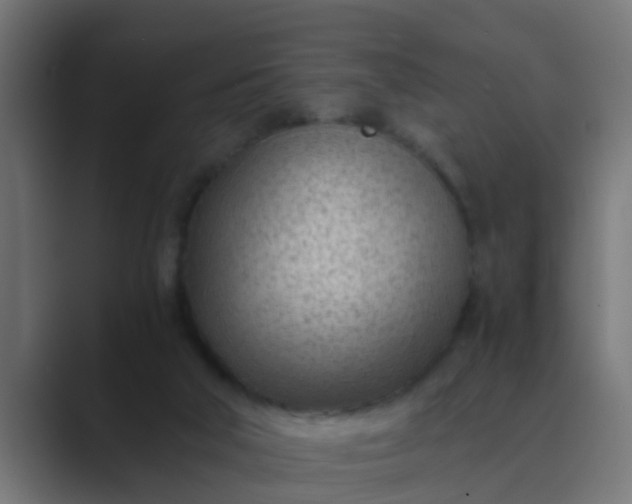 X0000089460018200706291509