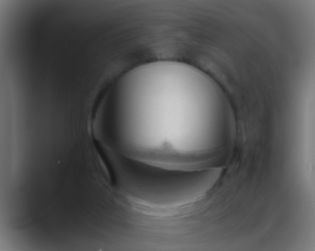 X0000089460019200706291509