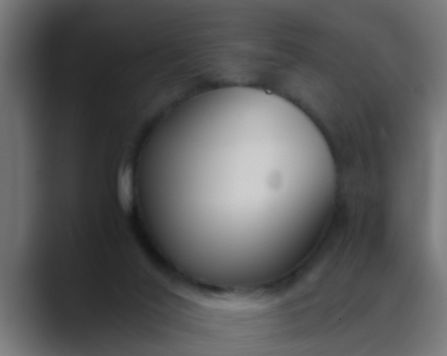 X0000089460020200706291509
