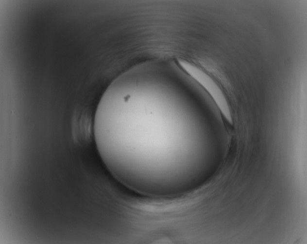 X0000089460021200706291509