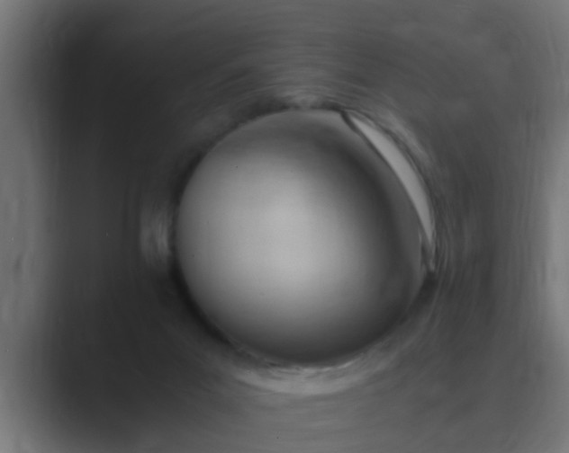X0000089460023200706291509