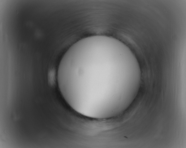 X0000089460024200706291509