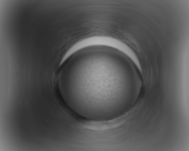 X0000089460029200706291509