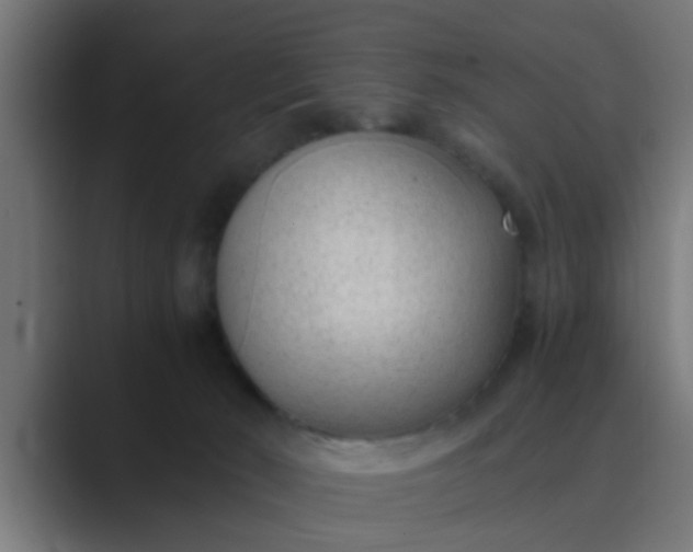 X0000089460030200706291509