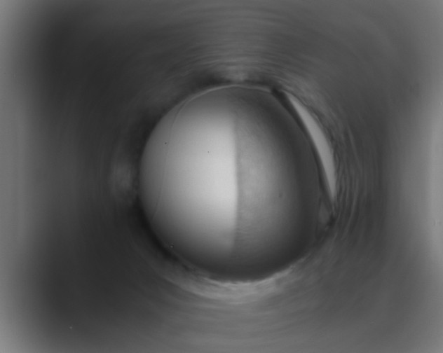 X0000089460031200706291509