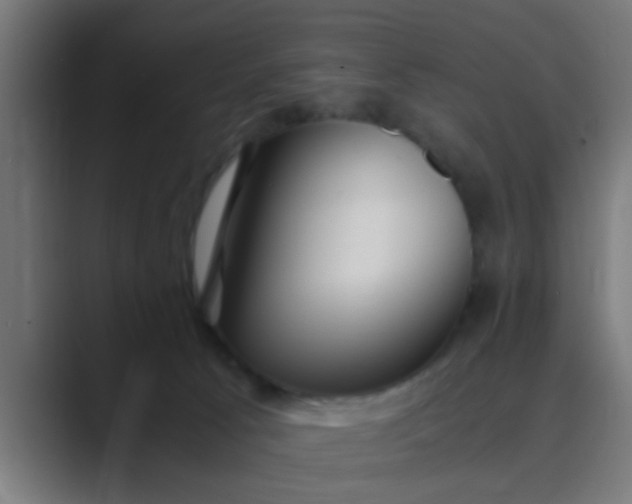 X0000089460033200706291509