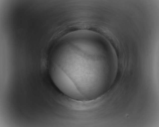 X0000089460035200706291509