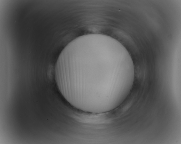 X0000089460036200706291509