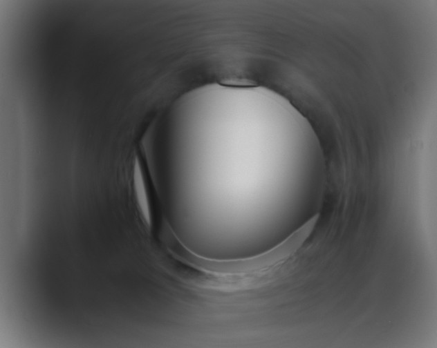 X0000089460037200706291509