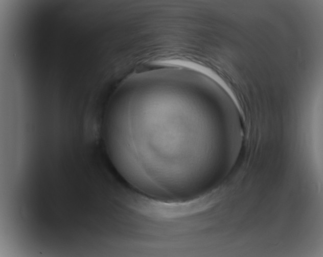 X0000089460039200706291509