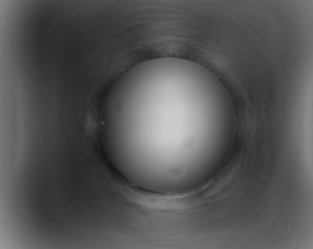 X0000089460040200706291509