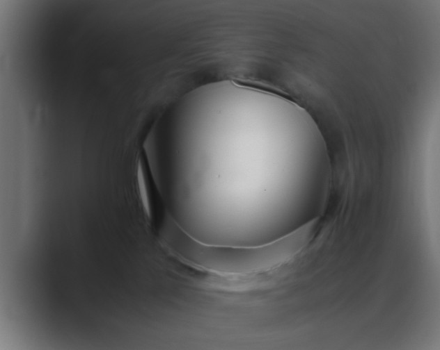 X0000089460041200706291509