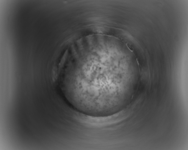 X0000089460043200706291509