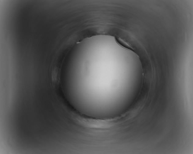 X0000089460044200706291509