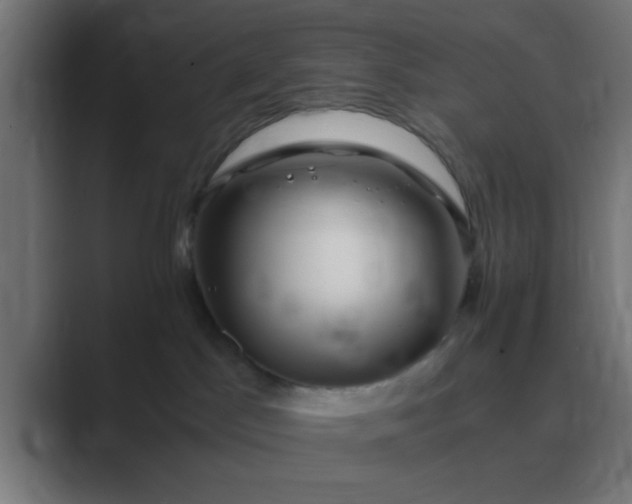 X0000089460045200706291509