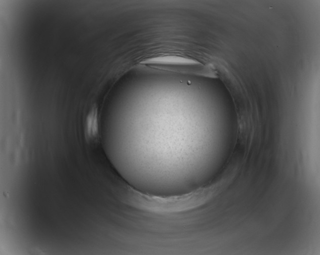 X0000089460046200706291509