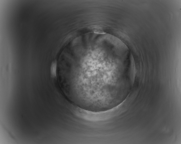 X0000089460047200706291509