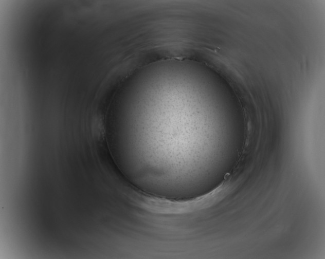 X0000089460048200706291509