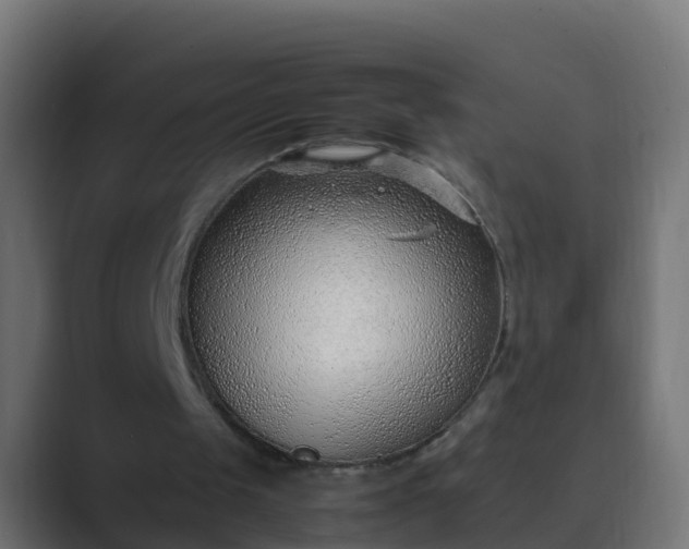 X0000089460049200706291508