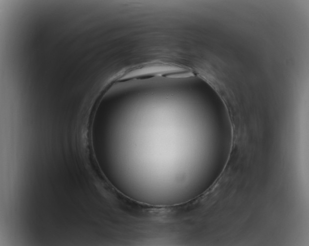 X0000089460050200706291508
