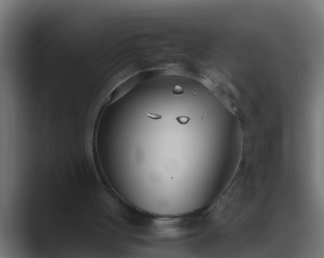 X0000089460051200706291508