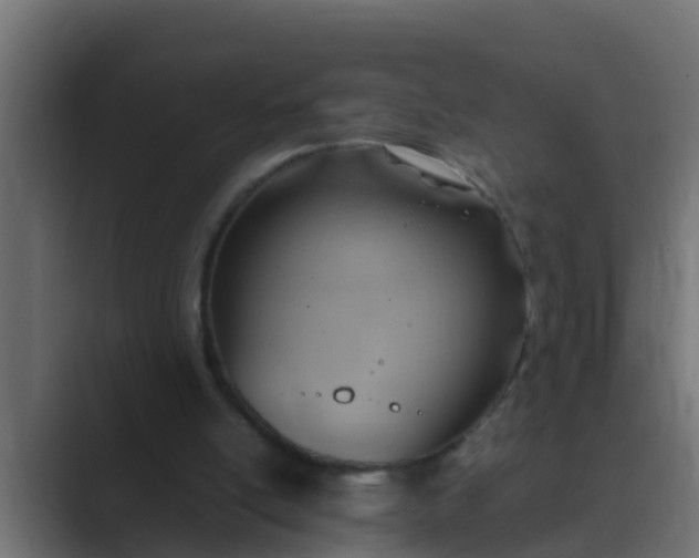 X0000089460054200706291508
