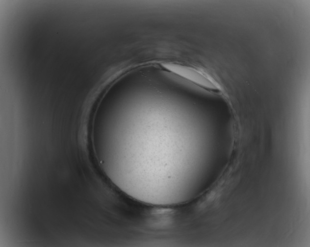 X0000089460055200706291508