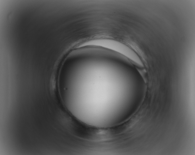 X0000089460060200706291508