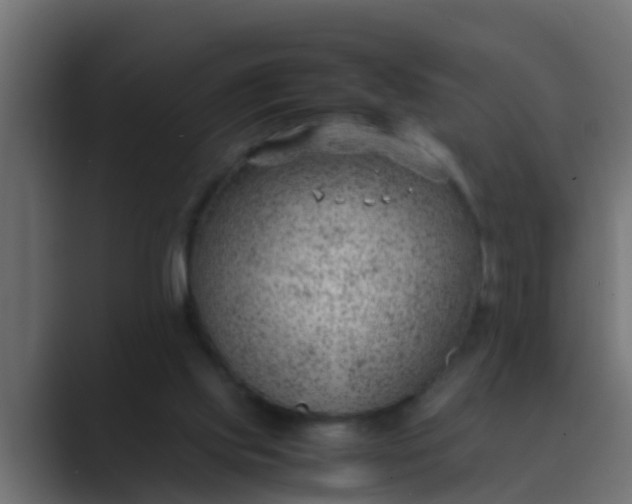 X0000089460061200706291508
